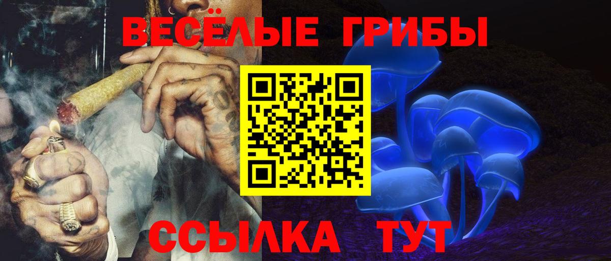 закладка  Псилоцибиновые грибы Psilocybe  Вход с VPN  Выборг 